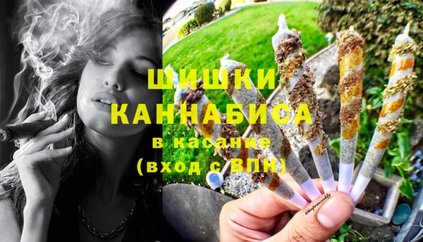 соль ск Белокуриха