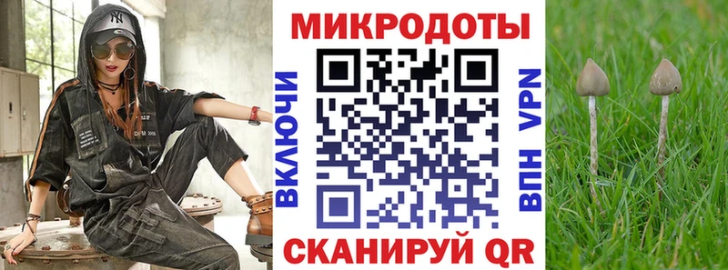 Галлюциногенные грибы мухоморы  как найти закладки  гидра как зайти  Светлогорск 